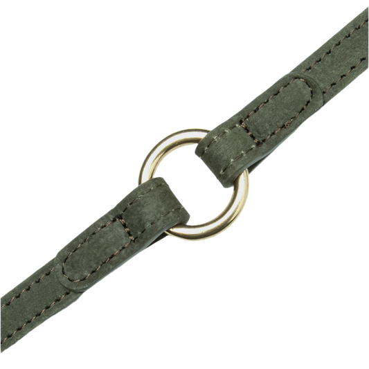 Cloud7 - Tiergarten hundesnor, moss