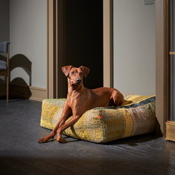 Cloud7 - Cube hundeseng, Green Tartan