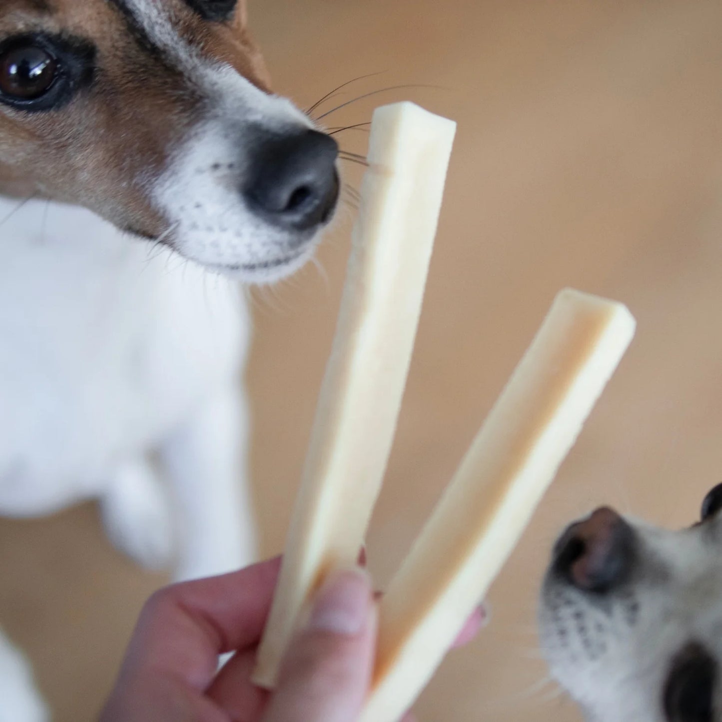Pala Nordic Raw Food - Cheese Bone