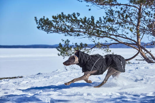 Hurtta - Extreme warmer vinterdækken Raven/Sort