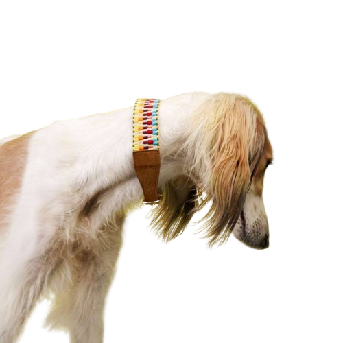 Cloud7 - Mexico halsbånd