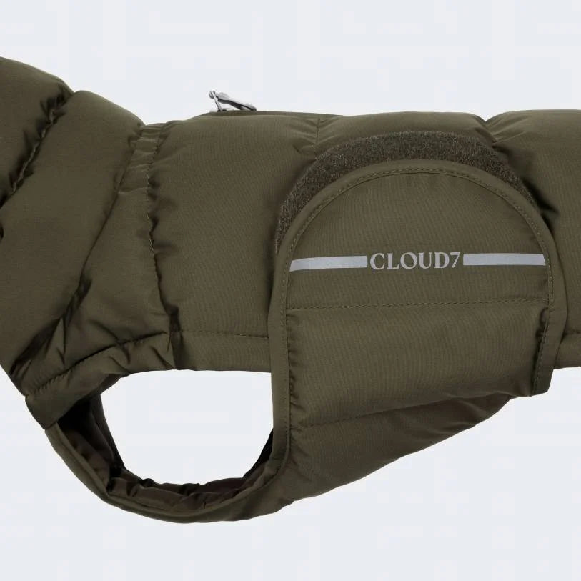 Cloud7 - Hundejakke alaska gravhund, olive