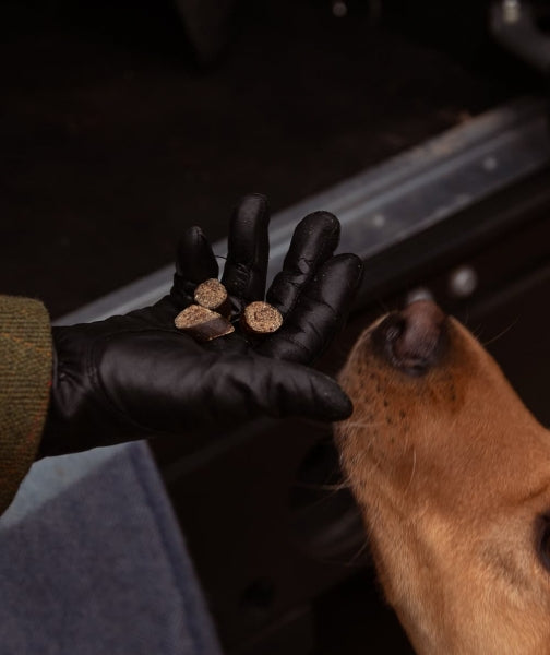 Essential - Finest, sliced venison & duck
