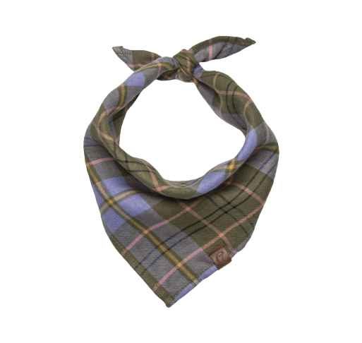 Cloud7 - Bandana, check green & purple