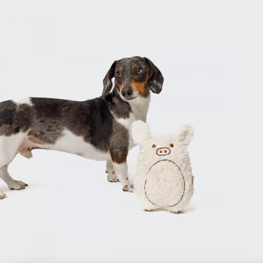 Cloud7 - Harry the piglet