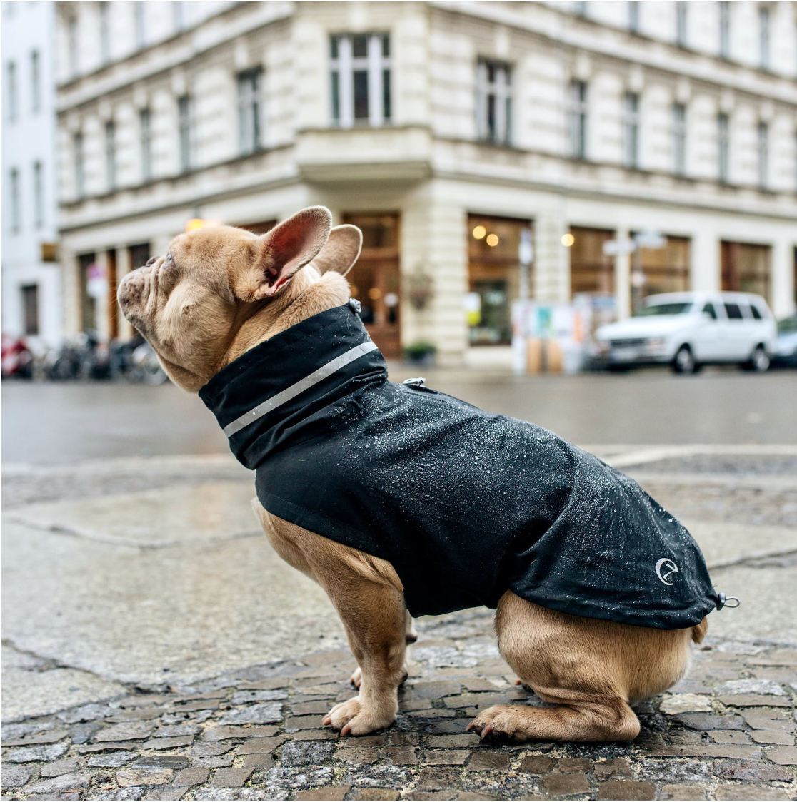 Cloud7 - Hundejakke london fransk bulldog, slate