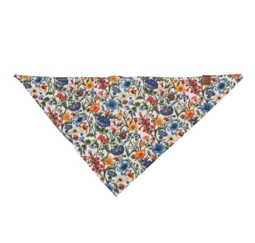 Cloud7 - Bandana, cornfield