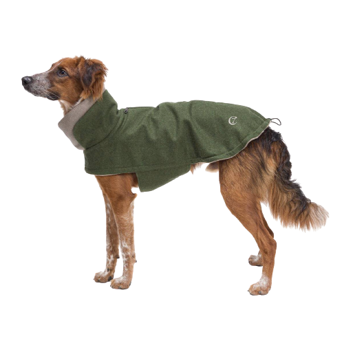 Cloud7 - Hundejakke brooklyn, flannel fern green