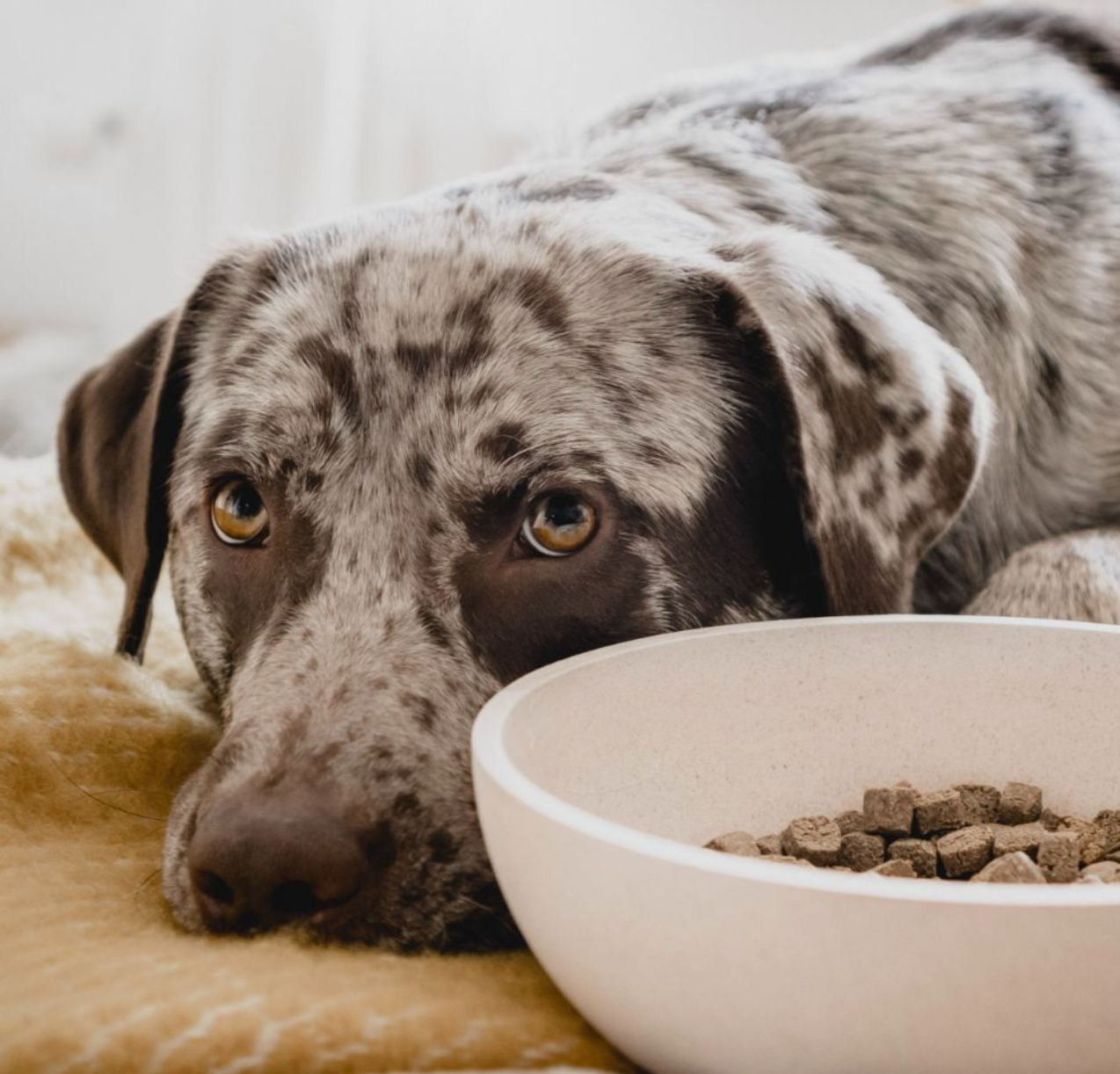 District 70 - Bamboo bowl, beige