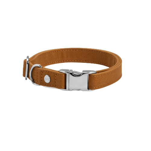 Denjo Dogs - Signature go halsbånd, mustard