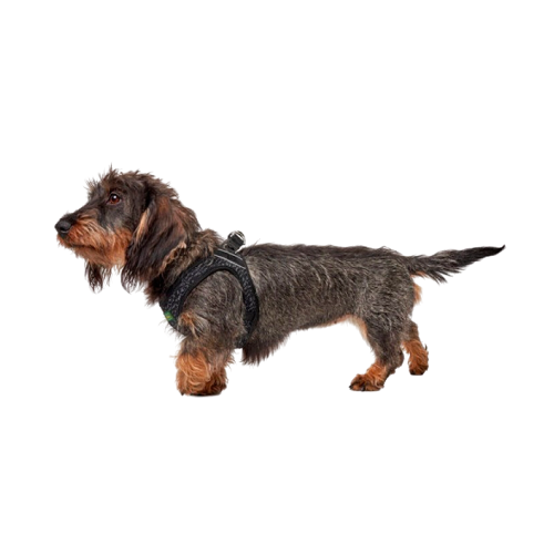 Hunter - Hilo comfort sele, brun