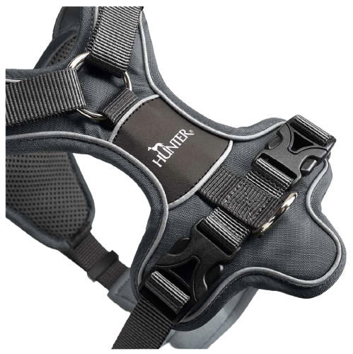 Hunter - Divo sele, grå/grå