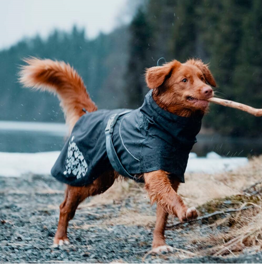 Hurtta - Monsoon l ECO regndækken Blackberry