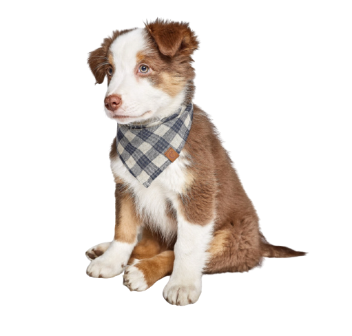 Cloud7 - Bandana, check dark blue & beige