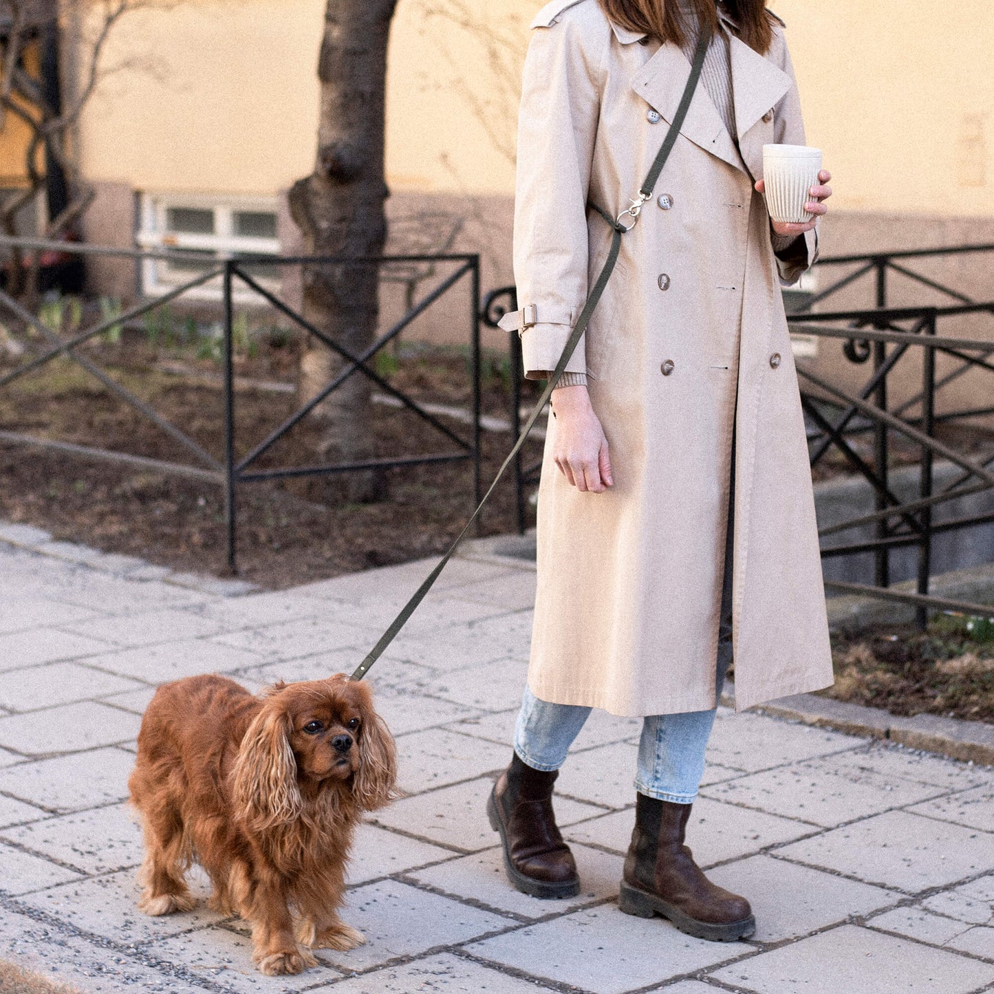 Denjo Dogs - Signature go hundesnor, khaki