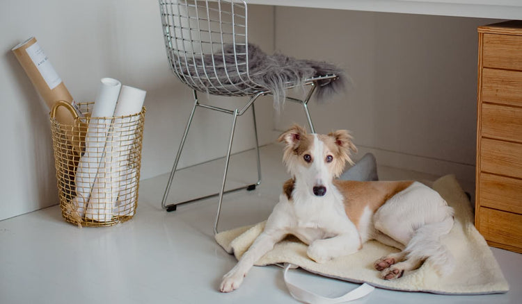 Accessories til hjemmet