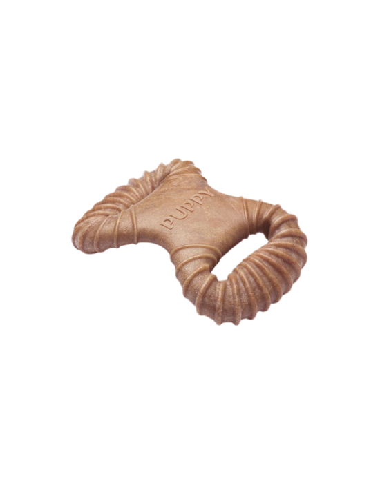 Benebone dental chew