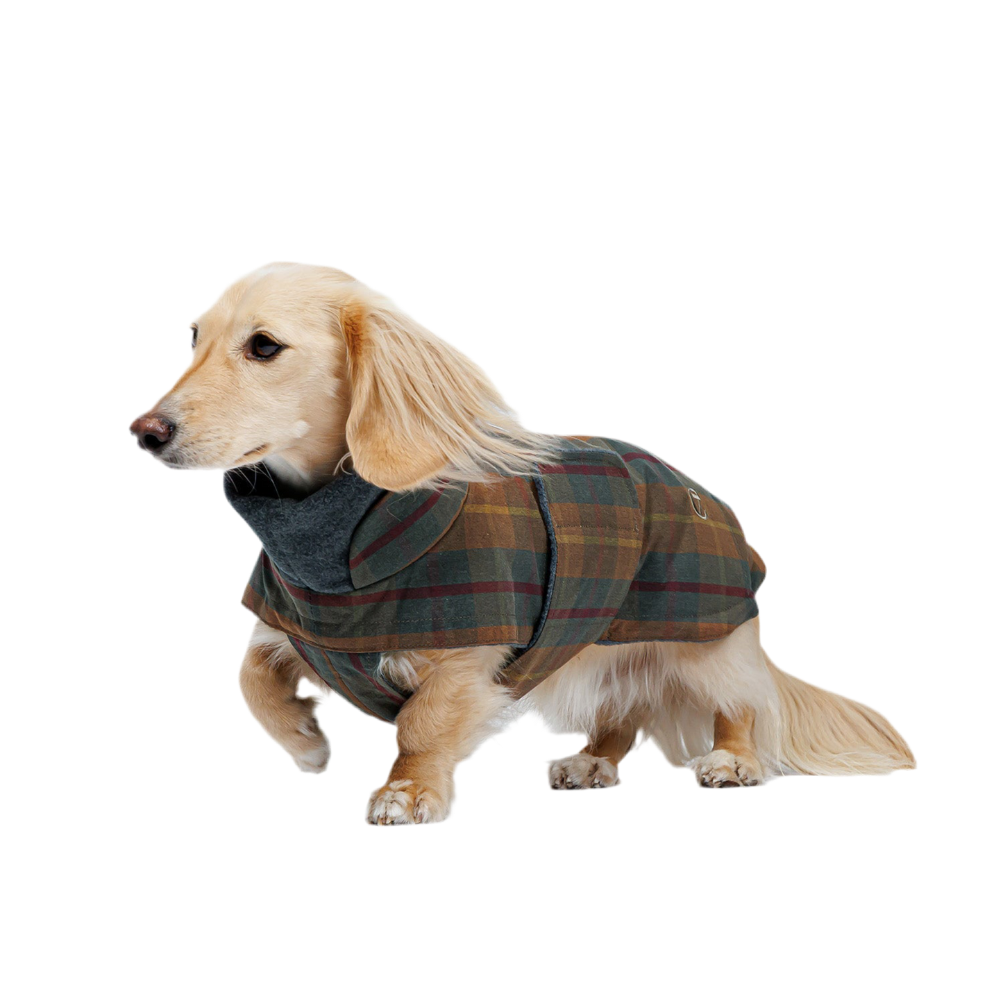 Cloud7 Brooklyn - Waxed Tartan (Gravhund)