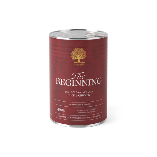 Essential paté - The Beginning