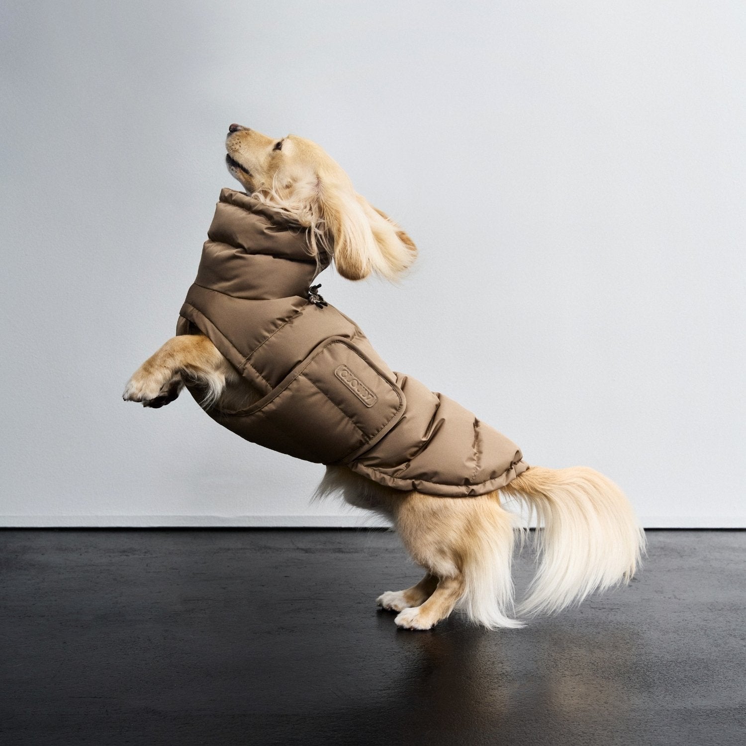 Nyhed! Cloud7 Alaska - Sandy Brown (Gravhund)