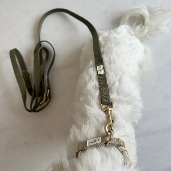 Drews Dogwear line i bomuld - Olive