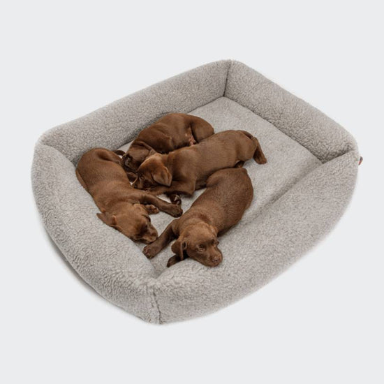 Cloud7 - Hundeseng sleepy, deluxe teddy