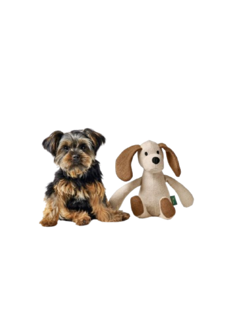 Hunter - Marle Hund