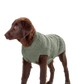 Hunter - Malmø hundesweater, Khaki