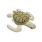 Cloud7 - Enna the turtle
