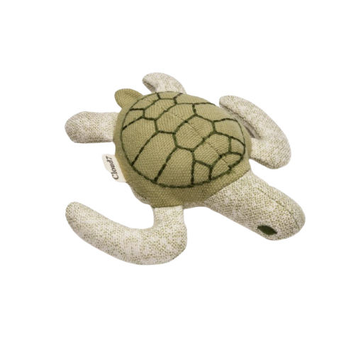 Cloud7 - Enna the turtle