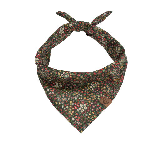 Cloud7 - Bandana, botanical night