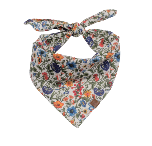 Cloud7 - Bandana, cornfield