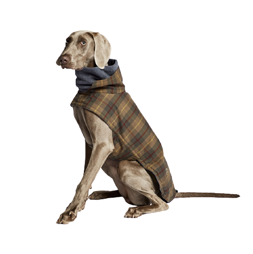 Cloud7 - Hundejakke brooklyn, waxed tartan