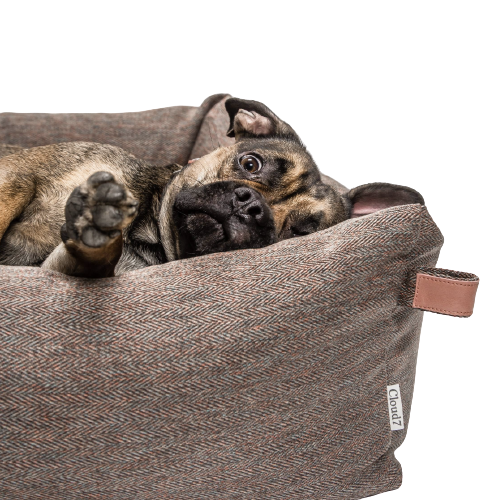 Cloud7 - Hundeseng sleepy, herringbone brown