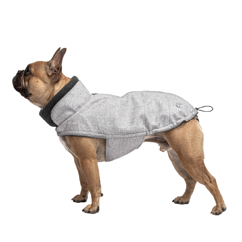Cloud7 Hundejakke brooklyn fransk bulldog, flannel grey – Hundens Univers