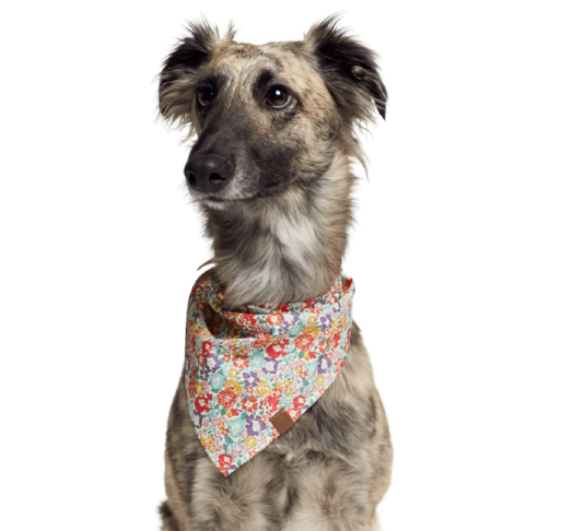 Cloud7 - Bandana, flower meadow