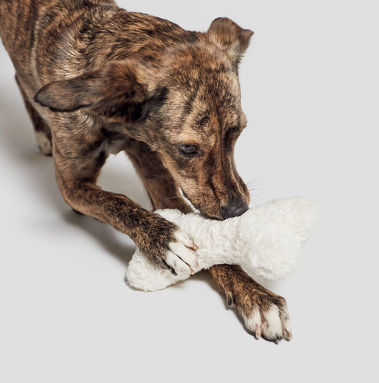 Cloud7 - Love bone plush, økologisk