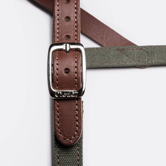 Cloud7 - Tivoli hundesele, olive