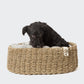 Cloud7 - Hundekurv lazy, birch