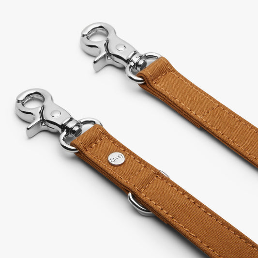 Denjo Dogs - Signature go hundesnor, mustard