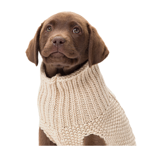 Cloud7 - Hundesweater oslo, beige